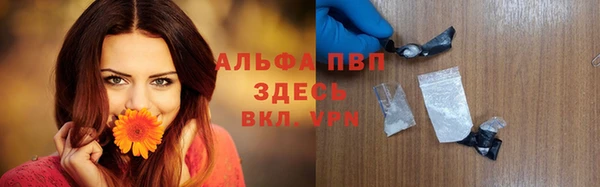 экстази Ельня