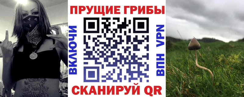 Псилоцибиновые грибы MAGIC MUSHROOMS  Куровское 
